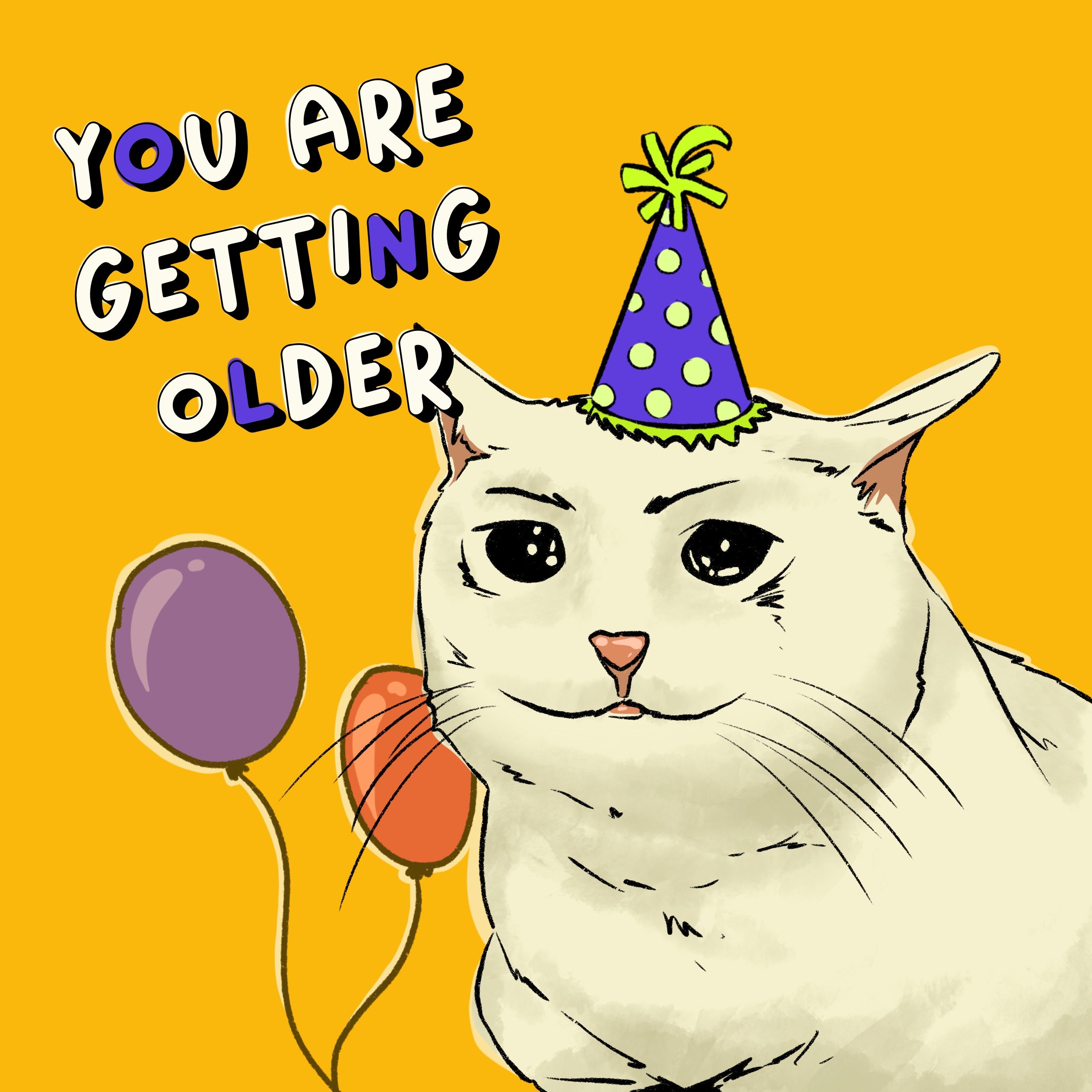 You Are Getting Older Happy Birthday Cat